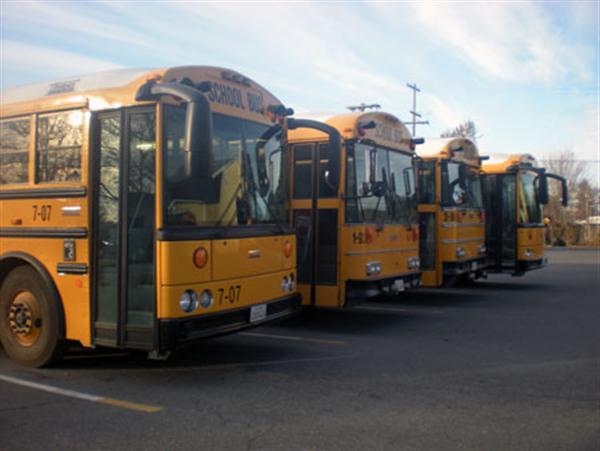 buses